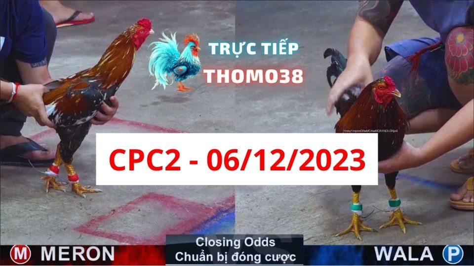 Đá gà CPC2 06-12-2023