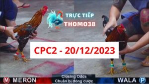 Đá gà CPC2 20-12-2023