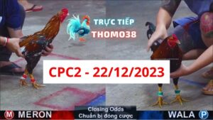 Đá gà CPC2 22-12-2023