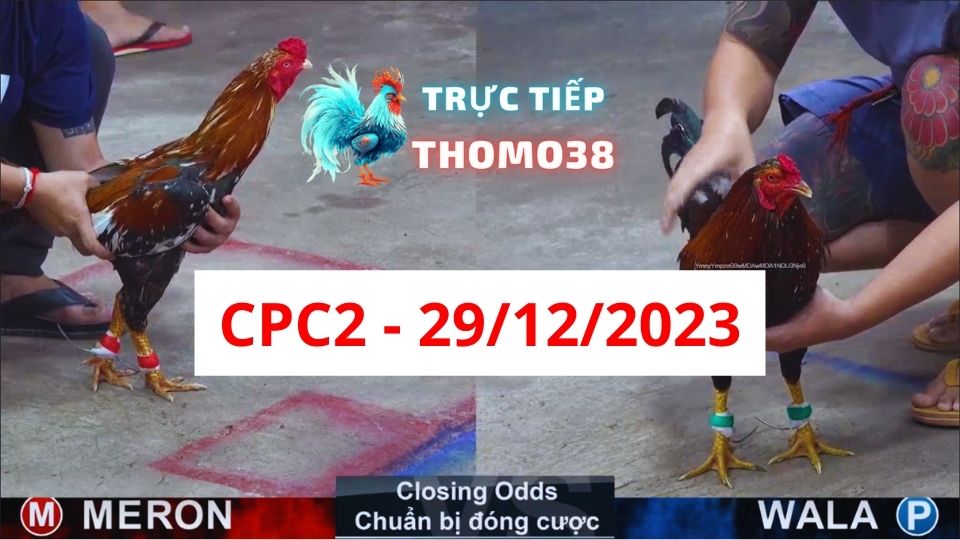 Đá gà CPC2 29-12-2023