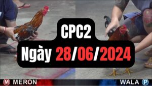 Đá gà CPC2 28-06-2024