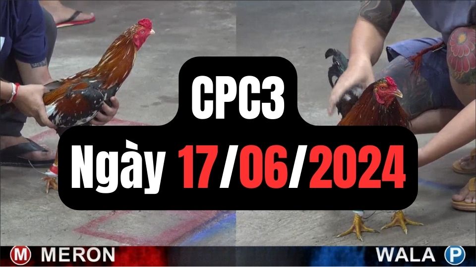 Đá gà CPC3 17-06-2024