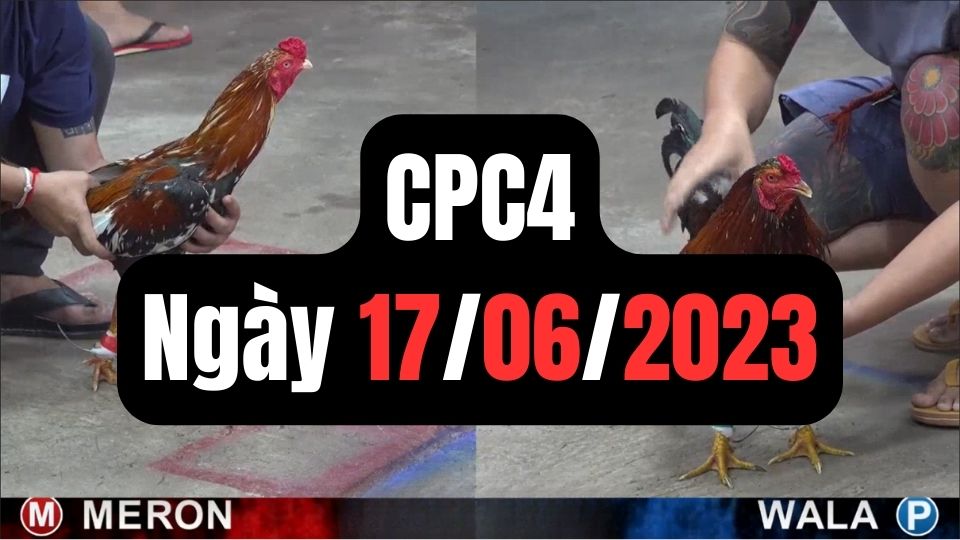 Đá gà CPC4 17-06-2024