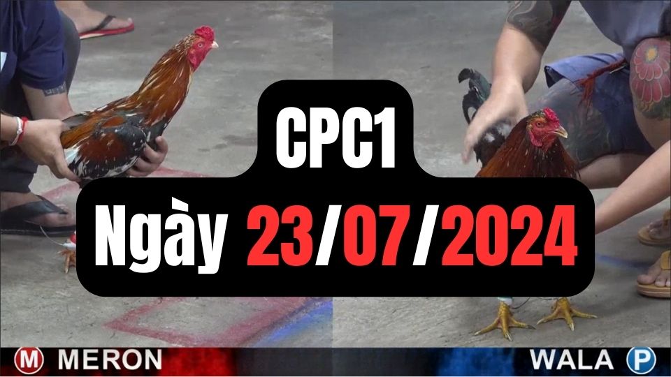 Đá gà CPC1 23-07-2024