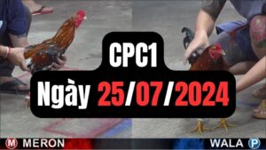 Đá gà CPC1 25-07-2024