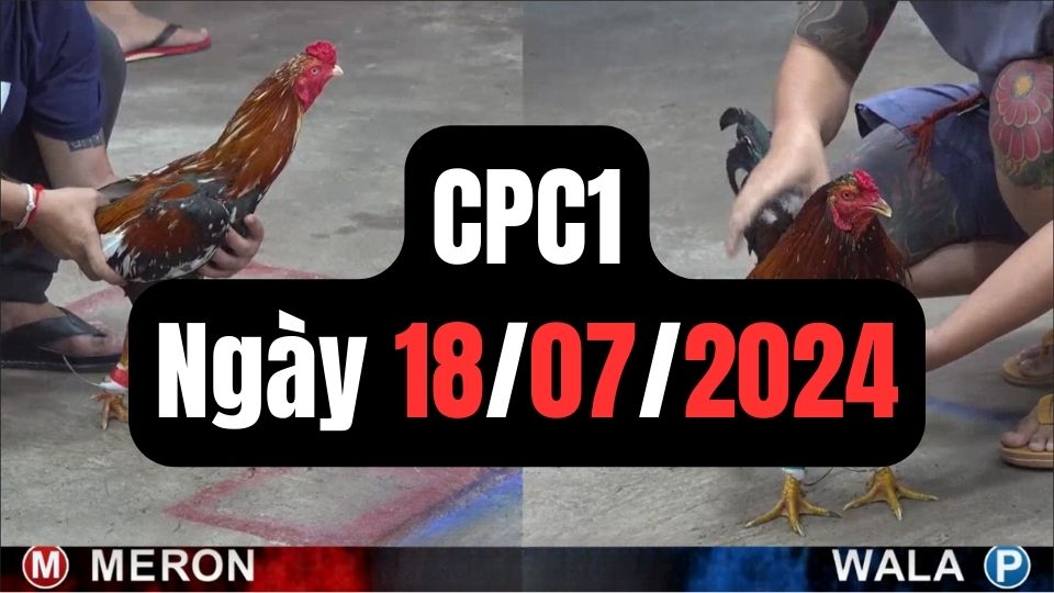 Đá gà CPC1 18-07-2024