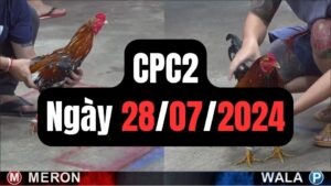 Đá gà CPC2 28-07-2024