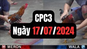 Đá gà CPC3 17-07-2024