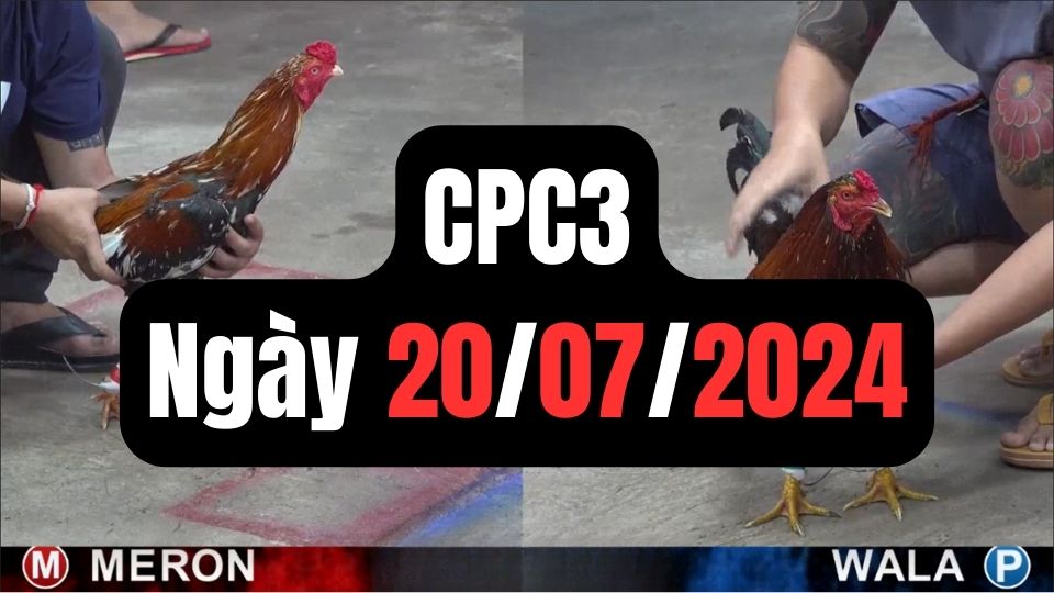 Đá gà CPC3 20-07-2024