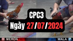 Đá gà CPC3 27-07-2024