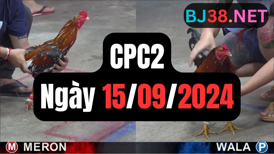 Đá gà CPC2 15-09-2024