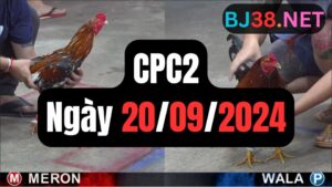 Đá gà CPC2 20-09-2024