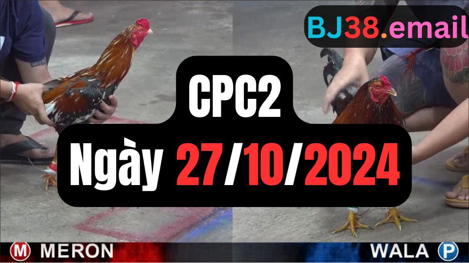 Đá gà CPC2 27-10-2024