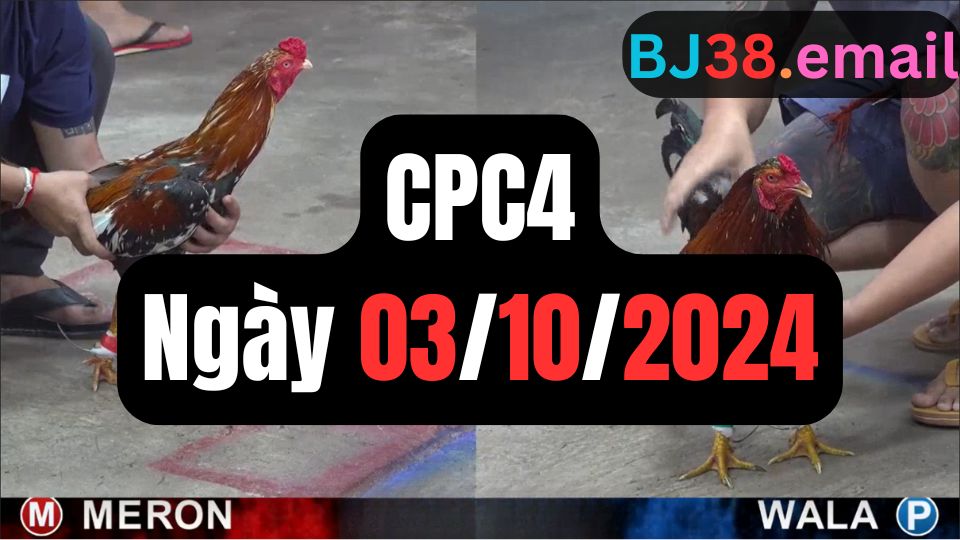 Đá gà CPC4 03-10-2024