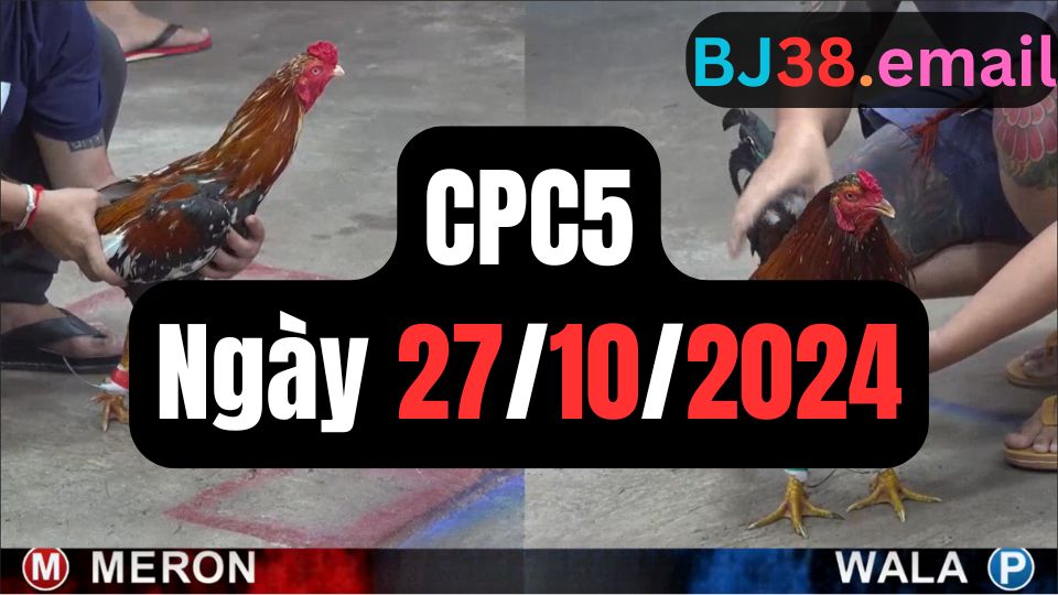 Đá gà CPC5 27-10-2024