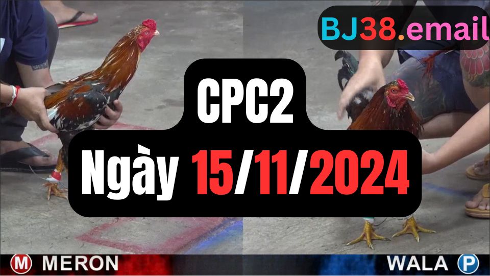 Đá gà CPC2 15-11-2024