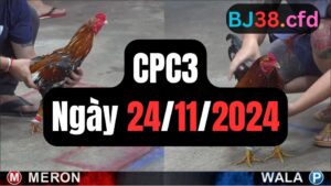 Đá gà CPC3 24-11-2024