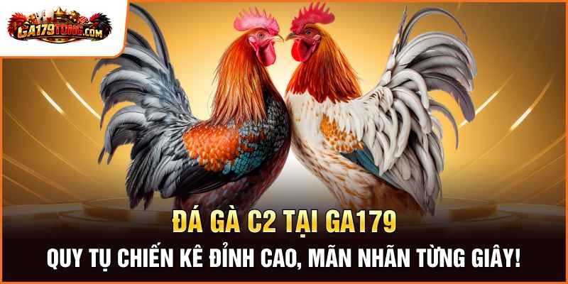 Đá Gà C2 Tại Ga179 – Quy Tụ Chiến Kê Đỉnh Cao, Mãn Nhãn Từng Giây!