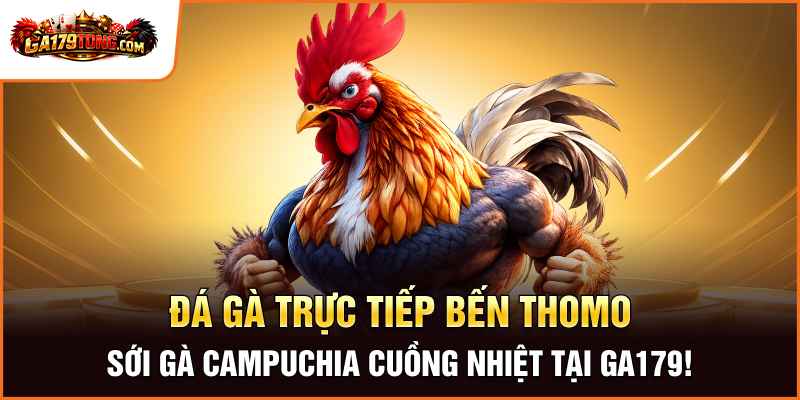 Đá Gà Trực Tiếp Bên Thomo Hấp Dẫn Mỗi Ngày Tại GA179